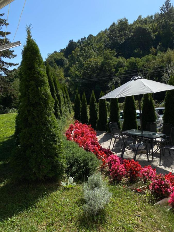 Bed and Breakfast Zeleni Dvor Ribarska Banja Zewnętrze zdjęcie