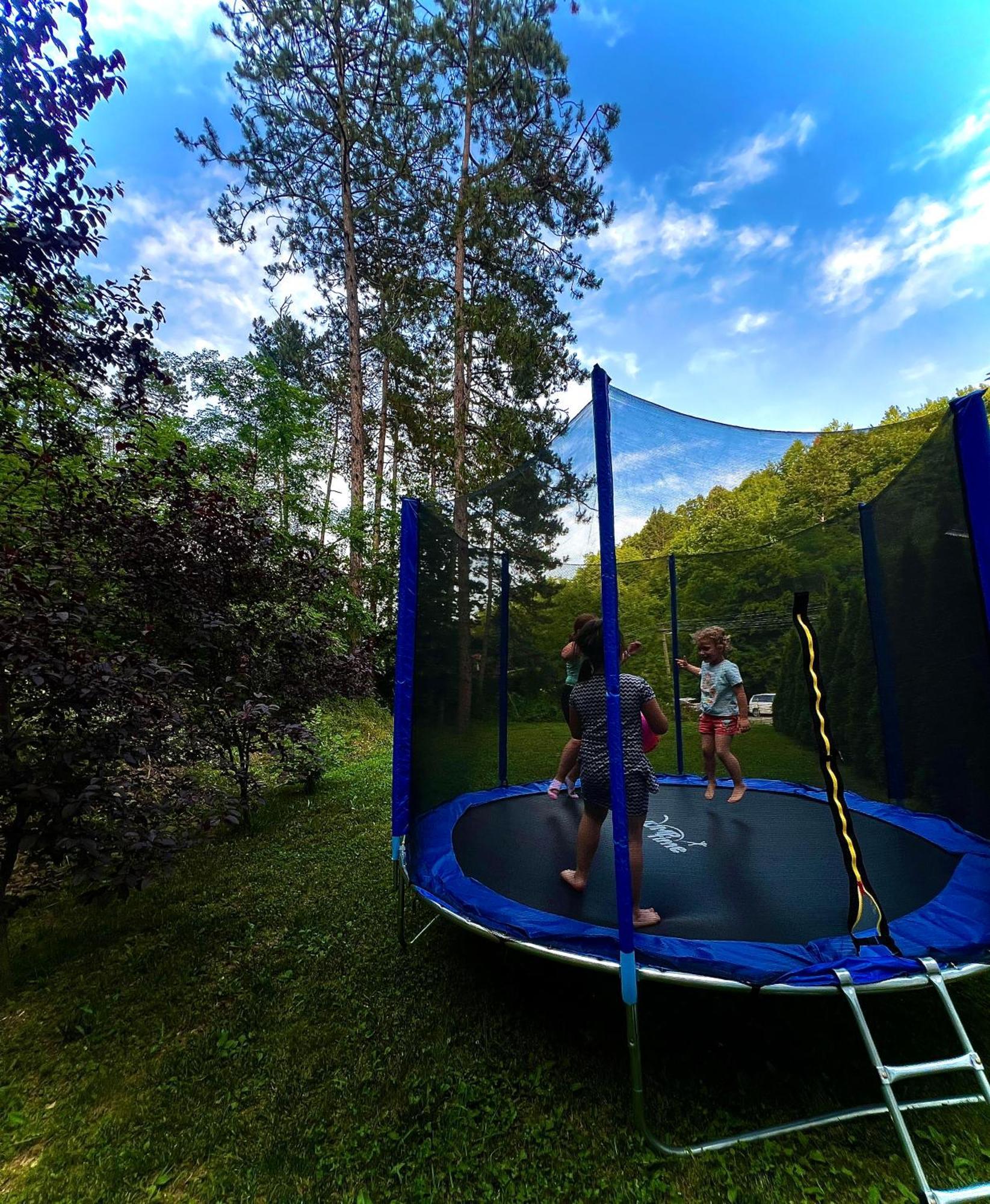 Bed and Breakfast Zeleni Dvor Ribarska Banja Zewnętrze zdjęcie