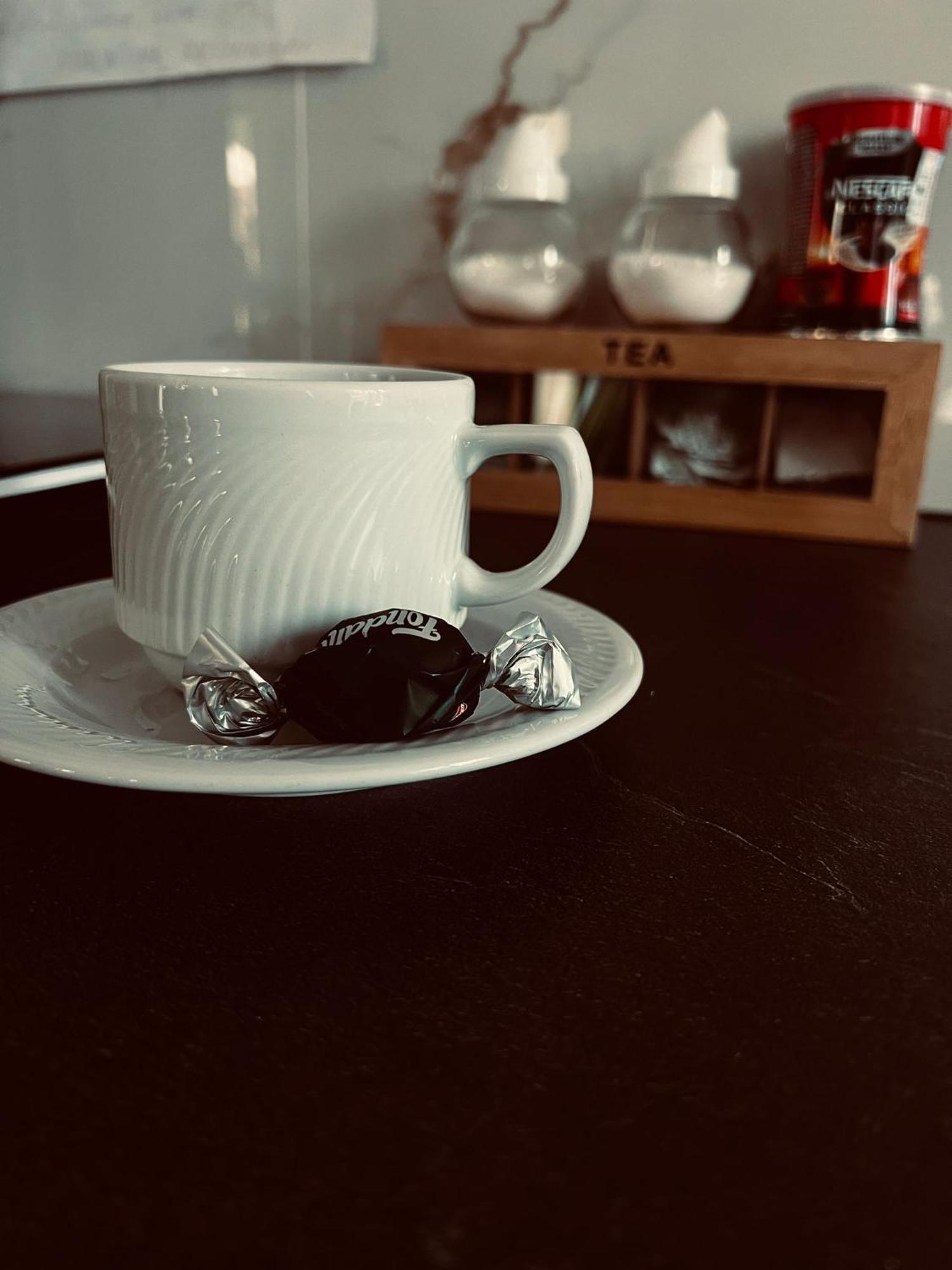 Bed and Breakfast Zeleni Dvor Ribarska Banja Zewnętrze zdjęcie