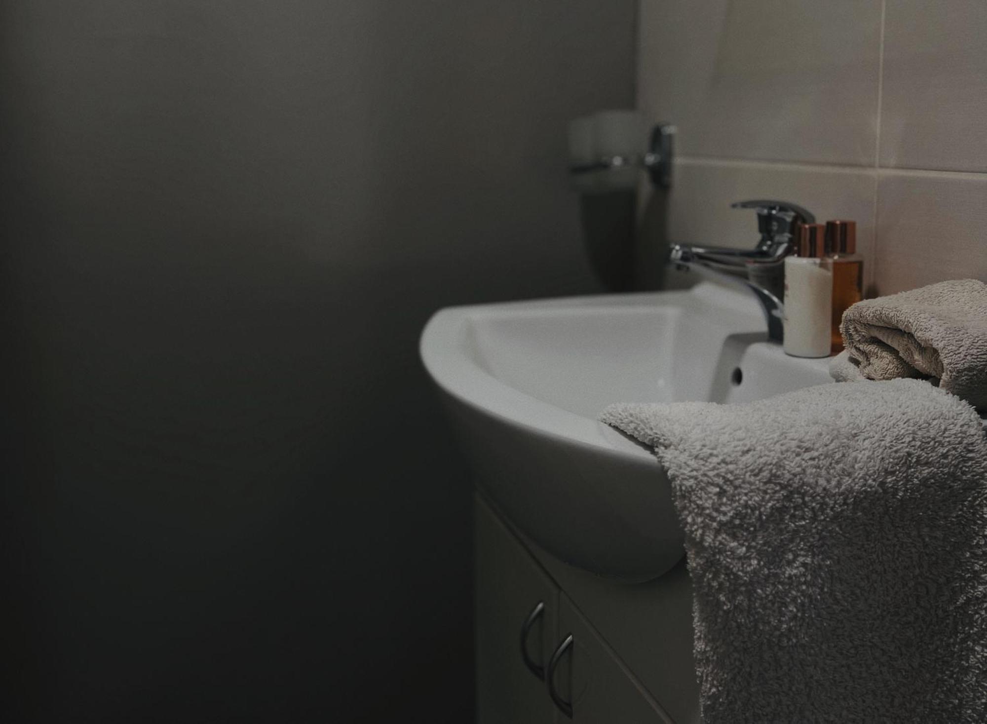 Bed and Breakfast Zeleni Dvor Ribarska Banja Zewnętrze zdjęcie